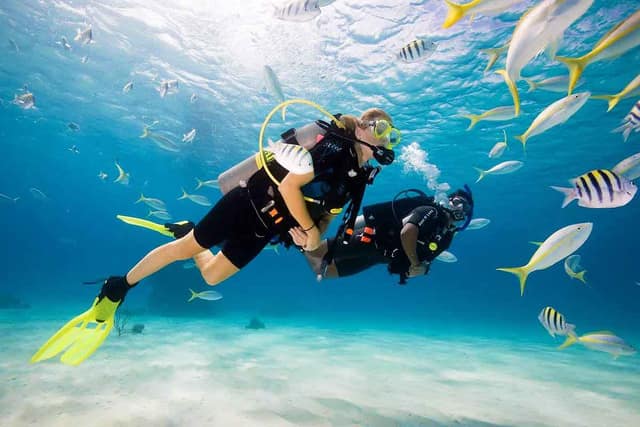 Kemer: Tüplü Dalış ve Şnorkel Deneyimi