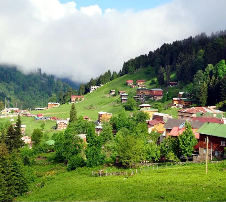 Ayder Highland
