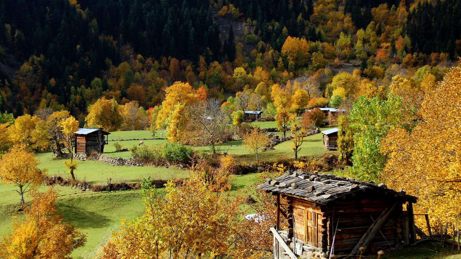 Artvin
