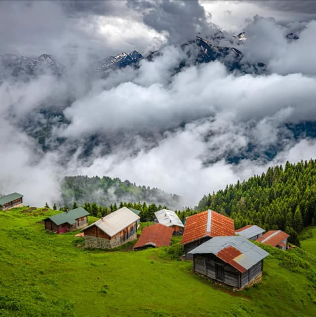 Rize