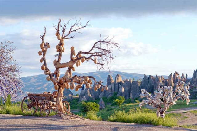 Cappadocia Small Group Red Tour with Museum Tickets